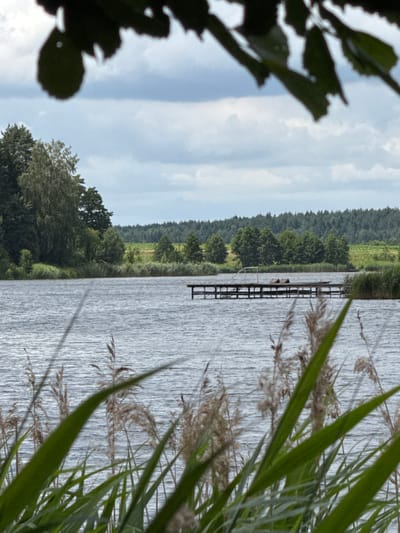 The image shows a tranquil outdoor scene, likely in a rural or natural area near Вішоўскі сельскі Савет, Belarus. In the foreground, tall green and brown reeds or grasses are partially obscuring the view of a calm, rippling body of water. Beyond the water, a wooden pier extends into the lake. Two small, dark objects, possibly benches or structures, are visible on the pier. The far bank of the lake is lined with lush green trees and vegetation, with a dense forest forming the distant background. The sky above is overcast with a mix of light and dark clouds. The overall impression is one of a peaceful, undeveloped natural landscape.