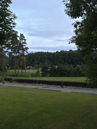 A military-clad individual walks along a paved path bordering a manicured lawn and a dark green hedge. Behind the hedge, several modern houses with dark roofs are nestled amongst trees and rolling hills. Tall pine trees stand in the foreground, with deciduous trees and a dense forest forming a backdrop. The sky above is overcast with gray clouds. The scene appears to be a park or residential area within Izmailovo, Russia, characterized by its lush greenery and well-kept architecture.