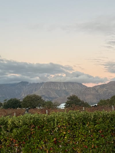The image depicts a landscape in Paarl, South Africa. A mountain range is partially obscured by clouds. A hedge or line of bushes runs along the right side of the frame. To the left of the bushes are trees. The sky is overcast with a greyish tint and a hint of pink.