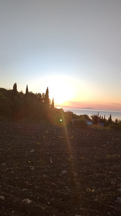This is a landscape photograph taken at sunset in Malyi Mayak, Ukraine. The foreground is a field of dark, tilled soil with scattered rocks and small green plants. Tall, dark green cypress trees and other dense foliage are silhouetted against the bright sky on a hillside to the left. Beyond the trees, the sun is setting over a calm body of water, casting an orange and pink glow on the horizon. The sky transitions from a pale blue at the top to a brighter yellow and orange near the sun. A lens flare is visible in the lower right quadrant of the image. In the middle ground, some structures are partially visible amongst the trees.