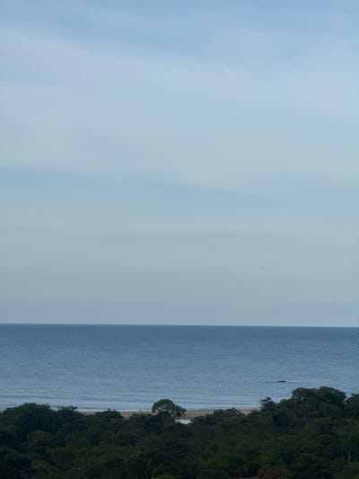 The image depicts a tranquil coastal scene, likely from Shastrawela, Sri Lanka. The vast expanse of the ocean dominates the left side of the frame, its surface a soft, muted blue under an overcast sky. Gentle waves are visible near the shore, hinting at calm weather conditions.

To the right, a lush, dense line of dark green trees forms a natural border along the coastline, suggesting a tropical or subtropical environment. A thin strip of sandy beach is visible between the trees and the water. The overall impression is one of natural beauty and serenity.

There are no people or man-made objects clearly visible in the image. The time of day appears to be overcast, possibly morning or late afternoon, as there are no strong shadows. The subtle color palette and the vastness of the sea and sky evoke a sense of peace and quiet. No text is visible in the image.