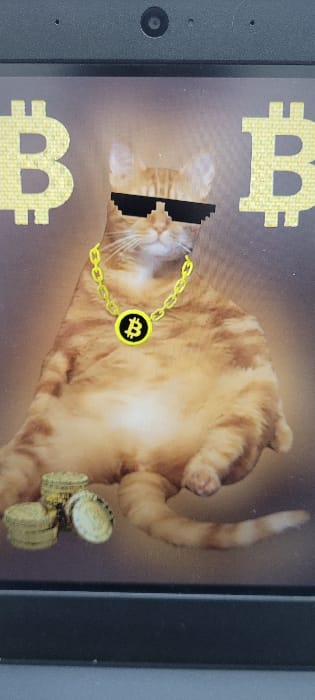 An orange tabby cat, lying on its back, is displayed on a screen. The cat wears pixelated black sunglasses and a gold chain with a Bitcoin pendant. Bitcoin symbols are visible in the upper left and lower left corners of the screen. Stacks of golden coins appear on the right side of the cat. The screen itself is bordered by a black frame on the left and gray on the right, suggesting it may be a tablet or similar device.