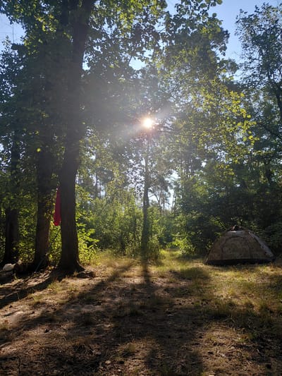 The image depicts a forest campsite in Shamraivka, Ukraine. Sunlight streams through the canopy of lush green trees, casting dappled shadows on the sandy ground covered with dry leaves and grass. In the foreground, near the base of two thick tree trunks, a red garment hangs, suggesting human presence. Further into the campsite, a camouflaged tent is pitched on the right side, its entrance facing away from the viewer. The overall scene conveys a sense of natural tranquility and temporary human habitation within a forest environment.