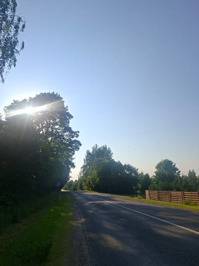 The image captures a sun-drenched road in Tarpežerė, Lithuania. The sun, positioned to the left, shines brightly through the leaves of a large tree, creating a sunburst effect. The road, asphalt with a white line marking, curves into the distance, flanked by lush green grass and dense trees on both sides. A wooden fence runs along the right side of the road for a portion of its length. The sky is a clear, pale blue.