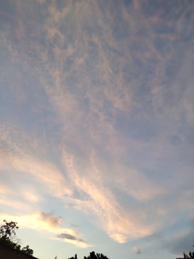 This is a vertical, full-frame, eye-level shot of a sky filled with wispy, cirrus clouds during what appears to be sunset or sunrise. The clouds are illuminated from below by the setting or rising sun, casting them in soft shades of pink, peach, and pale yellow against a light blue sky. The clouds are stretched in long, feathery streaks, giving the sky a textured and dynamic appearance.
In the lower left corner of the image, the dark silhouettes of trees and a brick wall are visible, suggesting an outdoor setting on land. The trees are dense and appear to be foliage. The wall runs horizontally across the bottom of the frame.
The overall impression is one of a peaceful and serene natural scene. The lighting and cloud formations suggest a time of day when the sun is low on the horizon, likely either dawn or dusk. The location context of Jambay, Uzbekistan, places this natural spectacle in a specific geographical setting, though no further location cues are immediately apparent in the image itself. There is no visible text in the media file.