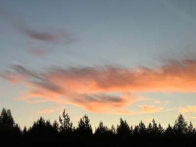 The image shows a sunset sky over a treeline. The sky is a gradient of pale blue to pale yellow near the horizon. There are several clouds, some of which are tinted orange from the setting sun. The treeline is a silhouette against the sky. The image was taken in Федькино, Russia.