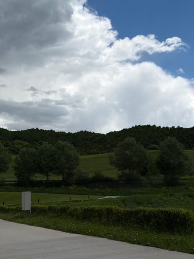 The image shows a landscape scene on a sunny day with clouds. A paved path is on the right side of the frame. To the left of the path is a grassy area with sporadic vegetation and what seems to be a boundary line of small posts. Further to the left, trees are present, and a densely wooded hill or mountain rises up. The sky is partially covered with clouds, with blue sky visible on the left.

I am unable to determine the location in the city of Chkalov, Armenia based only on the image.