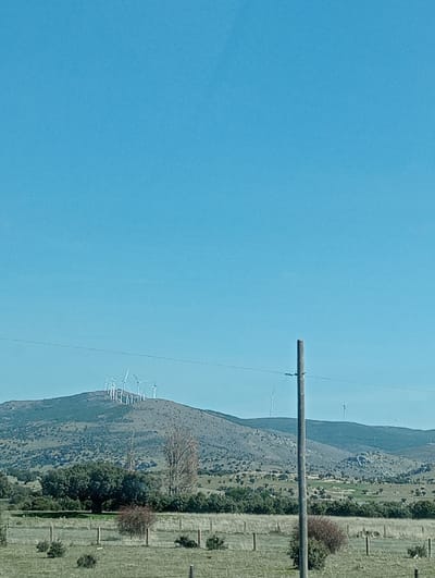 The image presents a rural landscape in Urraca Miguel, Spain, under a clear, bright blue sky. A prominent, vegetated hill in the mid-ground is topped with a cluster of approximately ten white wind turbines. Several additional wind turbines are sparsely distributed across distant, lower hills to the right. The foreground consists of fenced fields showing a mix of green and dry grasses, various shrubs, and scattered trees, some displaying green foliage and others appearing largely bare. A weathered wooden utility pole with a single horizontal overhead wire is positioned vertically on the right side of the frame. No individuals, actions, or interactions are visible.