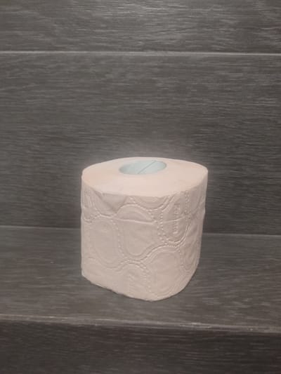 A roll of pale pink toilet paper with a textured pattern sits on a dark gray, horizontally-lined shelf. The toilet paper roll is positioned in the center of the frame, facing slightly to the left. The background consists of a wall with the same dark gray, horizontally-lined texture as the shelf, suggesting a tiled or paneled surface. The lighting is even and diffused, creating soft shadows. There are no people or other objects present in the scene. The image appears to be a still life photograph taken indoors. This image does not provide any information about its location in the city of Polyany, Russia.