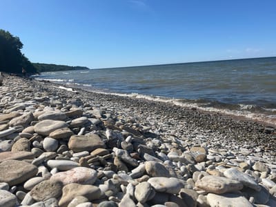 The image depicts a tranquil scene of a rocky beach on a clear, sunny day. The foreground is dominated by a dense scattering of smooth, grey, and white pebbles, with larger stones interspersed among them. Some of these stones are partially submerged in shallow water as small waves gently lap against the shore.
In the mid-ground, the water of a large body of water, likely the sea, stretches to the horizon, its surface rippling under the sunlight. The water appears to be a muted blue-grey, with white foam cresting on the small waves. Along the left edge of the image, a dense line of dark green trees forms a lush treeline that slopes down towards the water.
Further down the coastline, a solitary figure of a person can be seen standing near the water's edge, adding a sense of scale to the vastness of the landscape. The sky above is a clear, brilliant blue, indicating fair weather and a pleasant time of day, likely midday or early afternoon. The overall atmosphere is one of peaceful solitude and natural beauty. There is no visible text in the image. The location is identified as Toila, Estonia.
