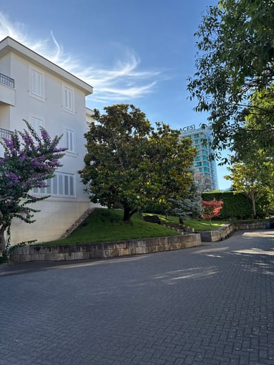 This image depicts a sunny day scene in Makarska, Croatia, likely in a residential or commercial area with landscaped grounds. In the foreground, a grey paved pathway with a herringbone pattern runs diagonally from the lower right to the upper left, reflecting dappled sunlight.

To the left, a multi-story white building with a balcony and white shutters on its windows is visible. In front of this building, a bush with vibrant purple flowers is in bloom. Adjacent to the building and the purple-flowered bush, a large tree with dark green leaves stands on a raised grassy mound. This mound is bordered by a stone wall constructed from rectangular, light-colored stones.

Beyond the grassy mound, a modern, tall glass building with blue accents is prominent in the background. The name "ACES" is visible in white lettering on this building. Several trees with green foliage surround the glass building, and a smaller tree with red leaves stands closer to the foreground. A dense green hedge forms a boundary further in the background.

The sky is a clear blue with wispy white clouds, suggesting fair weather. The overall scene is serene and well-maintained, indicative of a pleasant environment in Makarska. There are no people visible in the image.