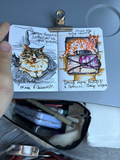 The image shows an open sketchbook held by a hand, with two sketches on display. The top sketch depicts a ginger and white cat curled up next to a purple and black backpack, captioned in Russian as "27th May 2024, Evening of Gathering" and "Evening before departure to Greece. Oskar is Gathering." The bottom sketch is a portrait of a cat, appearing slightly grumpy or tired, with the Russian text "The muzzle looks evil, but will fall asleep immediately" and "May 28th, In the airplane." The sketchbook is clipped to a metal holder. Adjacent to the sketchbook is an open pencil case filled with art supplies, including markers, pens, and a blue eraser, suggesting the person may be on a flight to Greece.