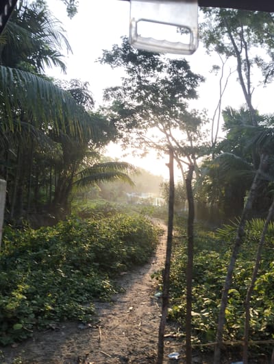 The image shows a dirt path leading through lush vegetation in Southkhali, Bangladesh. Palm trees and other trees line the path, with the sun shining through the trees in the distance, creating a hazy effect. A section of a vehicle's interior is visible at the top of the frame. There are no people visible in the image. The general environment is rural and tropical.