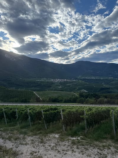 The image displays a scenic view of a valley with terraced vineyards leading up to mountains under a partly cloudy sky. In the foreground, rows of lush green grapevines are supported by wooden posts. A paved road runs horizontally across the mid-ground, separating the vineyards. Further into the distance, a small village with buildings is nestled within the valley, surrounded by more vineyards that follow the contours of the rolling hills. The background is dominated by dark, tree-covered mountains under a dramatic sky with patches of blue and heavy clouds illuminated by sunlight. This landscape is consistent with the region around Spormaggiore, Italy, known for its viticulture and mountainous terrain. There are no people or animals visible in the frame. The overall impression is one of a rural, agricultural landscape in a mountainous area.