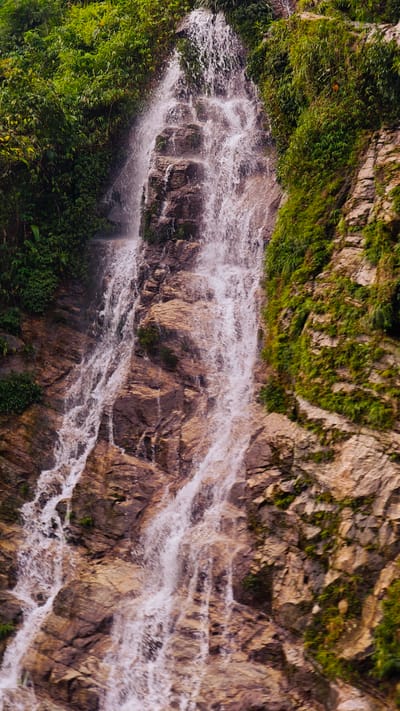 A vertical, close-up photograph captures a dynamic waterfall cascading down a verdant, rocky cliff face in Tân Quang Commune, Vietnam. The primary subject is the powerful flow of water, which appears white and foamy as it tumbles over the rugged terrain, breaking into multiple streams and rivulets.

The waterfall descends over a steep rock formation composed of textured brown and grey rocks, showing natural erosion and wet surfaces. Lush green vegetation, including leafy shrubs and grasses, densely covers the upper and side sections of the cliff, contrasting vividly with the earthy tones of the rocks and the bright white of the water. The abundant foliage suggests a healthy, well-watered environment.

The scene depicts the continuous activity of water flowing downwards, conveying a sense of natural energy and movement. The lighting indicates it is daytime, with soft illumination suggesting either an overcast sky or diffused light through the surrounding foliage, as there are no distinct shadows. The overall impression is one of pristine natural beauty and the raw power of the landscape. No people, man-made objects, or visible text are present in the image.