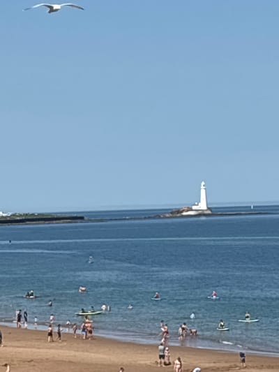 The image shows a coastal scene, likely a beach, in North Tyneside, United Kingdom. To the left, a seagull is in flight against a clear blue sky. Moving towards the right, the scene transitions to the sea, with a pier extending into the water. On the pier, there is a lighthouse-like structure. Along the shoreline, there are numerous people engaging in beach activities such as swimming, walking, and paddle boarding. The sand is light brown, and the water appears to be a clear blue.