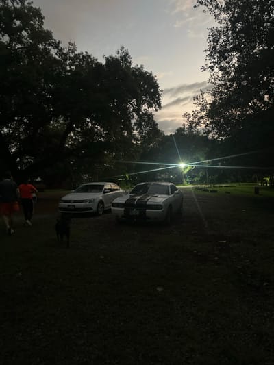 Two white cars, the first appearing to be a Ford Mustang with black racing stripes, are parked in a grassy area at dusk. A dim streetlight shines behind them, creating a starburst effect. Figures of people in dark clothing and an orange shirt are visible in the foreground. Trees with dense foliage surround the parking area, obscuring the sky except for a patch of grayish clouds. The overall lighting is low, giving the scene a somewhat shadowy atmosphere.