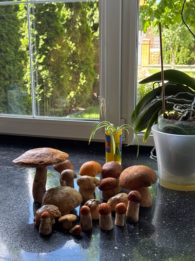 In Novogusel'skii, Russia, a collection of freshly picked mushrooms sits on a dark, speckled countertop in front of a window. The mushrooms, varying in size and cap color from light brown to reddish-orange, are arranged in a cluster. Behind the mushrooms, a small potted spider plant in a yellow vase and a larger potted orchid are visible. The window reveals a sunlit view of lush green trees and a brick building facade. The scene appears to be an indoor setting, likely a kitchen or living area, with natural light streaming in.