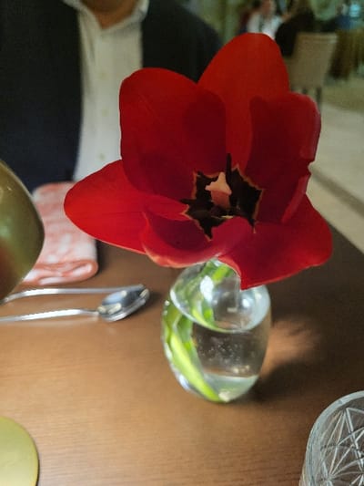 A red tulip flower dominates the scene, its petals open to reveal a dark center. Beside the flower is a small, clear vase with green stems visible inside. A silver spoon rests near the vase. A patterned napkin lies below. The background includes a glimpse of a person wearing white and black clothing, and a table with a wooden surface is visible. A cut-glass dish sits in the upper right corner.