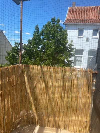 The image shows a close-up view of a balcony or patio enclosure. A fence made of vertically arranged, light brown reeds or bamboo stalks is the primary focus in the foreground. Behind the reed fence, a dark netting is visible, creating a protective barrier. Beyond the netting, a lush green tree with dense foliage stands prominently. In the background, a light blue building with a red-tiled roof is partially visible, along with windows and a chimney. The sky is clear blue with a few wispy white clouds. The scene appears to be outdoors on a sunny day. The specific location within Hildesheim, Germany, is not discernible from the visual information provided.