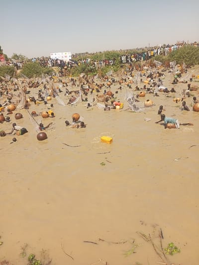 This image depicts a large communal fishing event in Kokani North, Nigeria, occurring in a wide body of murky, brown water. Numerous individuals, predominantly men and boys with dark complexions, are partially submerged in the water, actively engaged in fishing. Many utilize large, round, brown calabash gourds as flotation devices or containers, pushing them through the water. Several individuals are seen deploying small, conical mesh fishing nets. Scattered within the water are also various debris and a few plastic containers, including a prominent yellow rectangular object. A large crowd of observers or additional participants lines the elevated, vegetated bank in the background, where green bushes are visible. On this bank, a white banner or sign featuring logos from organizations such as USAID, Mercy Corps, EU, Borno State, and UNDP is present. The sky above is clear and light, suggesting daytime conditions.