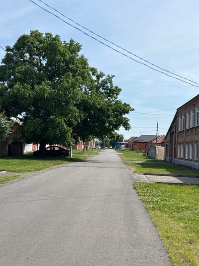 The image depicts a street scene in the city of Nogir, Russia. A paved road runs through the center of the frame, leading towards a line of buildings. On the left side of the road, a large tree shades a parked black car. The buildings lining the street are mostly brick structures with visible windows and rooflines. The sky is clear and blue with a few wisps of clouds. Overhead, power lines are strung across the frame. The environment appears to be a residential area with well-maintained green grass and some patches of clover along the roadside.