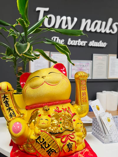 A large, golden Maneki-neko (lucky cat) statue, adorned with red accents, is prominently featured in the foreground of an interior setting. Its left paw is raised, holding a golden ingot inscribed with the Chinese characters "億億兩" (Yì Yì Liǎng), signifying immense wealth. Its right paw grasps a banner displaying "大吉大利" (Dàjí Dàlì), wishing great luck and profit. A smaller banner on its chest reads "招財進寶" (Zhāocái Jìnbǎo), meaning "ushering in wealth and prosperity."

Behind the statue, a vibrant green plant with variegated leaves partially conceals a dark gray wall. On this wall, white three-dimensional letters spell out "Tony nails" and "The barber studio," identifying the business. Several framed documents, including one clearly labeled "CERTIFIKAT," are visible on the wall, suggesting professional accreditation. To the right, a clear plastic holder contains business cards for "TONY NAILS," featuring a "TA" logo. The cards include text like "Tony Nails (Mladá" and "Tony nails.cz," confirming the location as Mladá Boleslav, Czechia. The overall scene depicts a professional and welcoming atmosphere, typical of a nail salon or barber studio, emphasizing good fortune and prosperity. No specific activity or time of day is discernible, as it is a static indoor display.