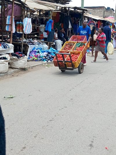 The image depicts an outdoor market scene along a paved asphalt road in Tala ward, Kenya, during daylight.

In the mid-ground, a male subject, wearing a blue t-shirt with "LAKE FOREST" text and maroon trousers, pushes a two-wheeled handcart. The handcart contains five yellow plastic crates: the top two are filled with reddish-brown potatoes or onions, and the bottom three are filled with red tomatoes. To the right of the handcart, a female subject, dressed in a red and white striped long-sleeved top, a black and white patterned skirt, and white flat shoes, walks right, looking towards the left. She carries a small brown bag. Further right, a male subject in a blue shirt carries a large white and yellow striped sack over his right shoulder.

On the left side of the road, a series of makeshift market stalls are constructed from wooden frames and covered with dirty, light-colored tarpaulin or fabric canopies. Merchandise is displayed, including large white sacks, clothing folded on a table, and a pile of multicolored sandals on the ground next to the curb. Various items, such as blue plastic bags and striped reusable shopping bags, hang from the stall structures. Multiple individuals are visible seated or standing within and behind these stalls.

The background shows additional market stalls and multi-story buildings constructed of concrete or brick, some appearing unfinished. A utility pole stands towards the upper right. The immediate foreground shows the light gray asphalt road with scattered green leaf debris and faint, dark, segmented marks. A dark blue/black garment or fabric is visible in the lower-left corner of the frame.
