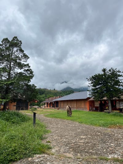 In Ban Mai Saha Sampan, Thailand, a horse grazes on a green lawn in front of a row of traditional-style buildings. The buildings feature wooden walls and dark tiled roofs, with orange accents. Red lanterns hang from one building, suggesting a festive or cultural setting. A cobblestone path leads through the scene, bordered by lush green grass and wild flowers. Towering trees frame the left and right sides of the image. In the background, misty mountains rise, partially obscured by thick, overcast clouds, creating a dramatic and atmospheric sky.