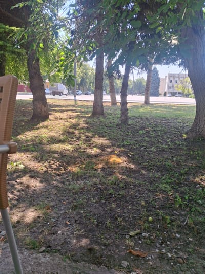 The image depicts a ground-level view of a park or public area with several trees. The trees are mature with visible bark and foliage, casting dappled shadows across the ground. The ground itself is a mix of dirt, grass, and scattered leaves and small pebbles.
In the background, a paved road is visible with a few vehicles parked along it, including what appears to be a camper van and several cars. Beyond the road, there are buildings, one of which is a multi-story brick structure, and a stand of evergreen trees. The sky is a clear blue, suggesting fair weather. The lighting indicates it is daytime, likely late morning or early afternoon due to the angle of the shadows.
A portion of a light brown, slatted chair is visible in the foreground, suggesting someone might be sitting there, observing the scene. There is no visible activity or event taking place other than the static presence of the trees, road, and buildings. The overall impression is one of a quiet, possibly somewhat unkempt, outdoor area. The location context provided is Kamenka, Moldova. No visible text is present in the image.