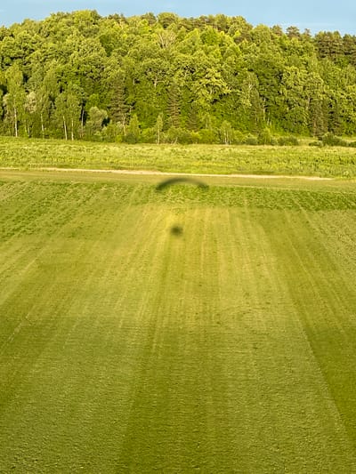The image depicts a vast expanse of green field, possibly a meadow or a crop field, under a clear blue sky. A dense, lush forest borders the field in the background, with a mix of deciduous and coniferous trees. A thin dirt road or path is visible running along the edge of the field, separating it from the forest. In the middle of the field, there are two faint shadows cast on the grass, suggesting the presence of an aerial object or person. The overall scene is tranquil and natural, typical of a rural landscape. It is not possible to determine the specific location within the city of Турово, Russia based on this image alone.