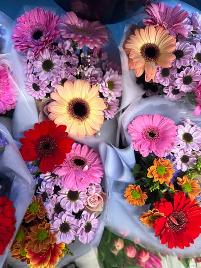 The image displays a dense, overhead view of multiple fresh flower bouquets arranged in a retail setting. The bouquets are composed of various flower types, primarily large Gerbera daisies in prominent shades of fuchsia, bright pink, orange, yellow-orange, and red, each featuring a dark central disc. Smaller, daisy-like blossoms, appearing in clusters of lavender-purple and orange-yellow, are interspersed throughout the arrangements. Sparse white baby's breath is also visible, along with at least one light pink rose. Each individual bouquet is wrapped in a clear plastic film covering a light blue-grey non-woven material or paper. The flowers are closely packed, indicating a display in a flower shop or market. The depicted scene is located in Sint-Niklaas, Belgium.