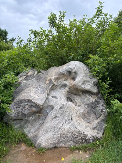 In Akatovo, Russia, a large, grey, granite boulder is situated amidst lush green foliage. The boulder, roughly oval in shape, is textured with lighter and darker speckles, and exhibits several depressions and crevices. It is partially surrounded by dense green bushes and grasses, with a hint of a gravel path in the foreground. The sky above is overcast with a grey, cloudy texture.