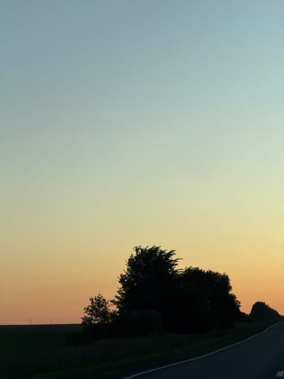A vertical shot captures a rural landscape at dusk, featuring a gradient sky transitioning from a pale blue at the top to a warm orange near the horizon. Silhouetted against this sky are trees and vegetation, with a dark, dense cluster of trees dominating the middle ground. To the left, a faint line of fence posts stretches across a dark field, suggesting agricultural land. A paved road, delineated by a white line, curves into the distance from the lower right of the frame, bordered by dark foliage. The scene appears to be set in or near Морозовка, Russia, as no identifiable urban structures or distinctive landmarks are present, implying an open, natural setting.