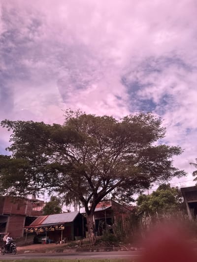 The image shows a tree in the foreground, with its branches spread wide against a pale pink and blue sky filled with clouds. Behind the tree, there are several buildings, including a brick structure with unfinished upper floors and a smaller building with a corrugated metal roof. A motorcycle with two occupants is visible on the left side of the frame, on a road in front of the buildings. The scene appears to be in a semi-urban or rural setting, likely in Kampungblang, Indonesia, based on the architectural style and vegetation. The overall mood is calm, with a soft, diffused light.
