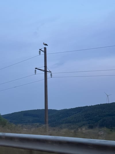 A white stork stands perched atop a wooden utility pole. The pole supports multiple overhead power lines and is positioned against a backdrop of a cloudy, blue sky. In the distance, a dark green, treed hillside stretches across the frame, and a white wind turbine is visible on the crest of the hill. The foreground features a blurred metal guardrail. The image appears to be taken from a vehicle, likely on a road near the city of Kuriany, Ukraine, given the presence of storks, a common sight in that region, and the general landscape.