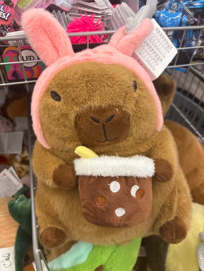 The image shows a close-up, slightly angled view of a plush toy, likely a bear or a similar stuffed animal, lying down on a retail shelf. The toy is primarily brown and fuzzy, with pink fuzzy ears attached to a pink hood or headband. It is holding a small, brown, cup-shaped object with white dots, resembling a stylized beverage. The background consists of a metal shelf and other assorted plush toys and retail items, suggesting a store or market setting.
Visible text includes what appears to be a price tag with currency symbols (€) and numbers, as well as the word "LED" and other unreadable text. The lighting is bright and even, indicating an indoor environment. The overall mood is playful and cheerful, due to the nature of the toy. The specific location of Erlenbach am Main, Germany is noted, but not visually discernible from the image itself.