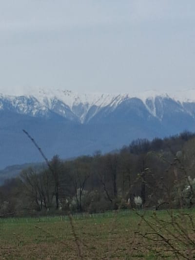 The image presents a landscape view featuring a mountain range on the left, possibly partially snow-covered. A line of trees runs down the middle. To the right is grassy ground. Based on the city of Komarevo, Bulgaria, the mountain range is the Balkan Mountains. There are no people present.