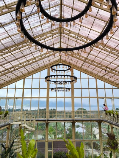 The image shows the interior of a building, likely a greenhouse or glasshouse, in Candikuning, Indonesia. The structure features a high, peaked roof constructed of glass panes held together by a grid of metal supports. Three large, circular chandeliers hang from the ceiling, each adorned with numerous light bulbs. A mezzanine level with a decorative railing runs along one side of the building, and a spiral staircase leads to it. Two people are standing on the mezzanine, observing the outdoor scenery, which includes a body of water, trees, and buildings. Lush greenery is visible both inside the building and through the windows.