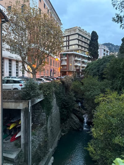 This image presents an elevated, wide-angle view of a street in Camogli, Italy, during what appears to be late afternoon or early evening under an overcast sky.

In the foreground and left midground, a row of vehicles, including a white station wagon, are parked on a street or elevated platform. This platform is supported by a concrete structure, beneath which a sheltered space houses several kayaks and canoes (red, yellow, green) stored on racks. This structure abuts a sturdy stone retaining wall that descends to a narrow, dark greenish-blue river. Behind the parked cars, multi-story buildings line the street; one prominent building has a light peach-colored facade, while another exhibits white vertical architectural details. A large, deciduous tree with sparse, light-colored leaves stands between these buildings and the parked cars.

To the right, additional multi-story buildings with balconies are visible, including one with distinctive horizontal dark banding. A tall, slender coniferous tree stands among these structures. The background on this side features a steep hillside densely covered with green trees and shrubs. The river flows through a rocky gorge, characterized by dark rock formations and a series of small waterfalls cascading into the water. Artificial street lighting is illuminated, suggesting low natural light. No individuals are visible in the scene.