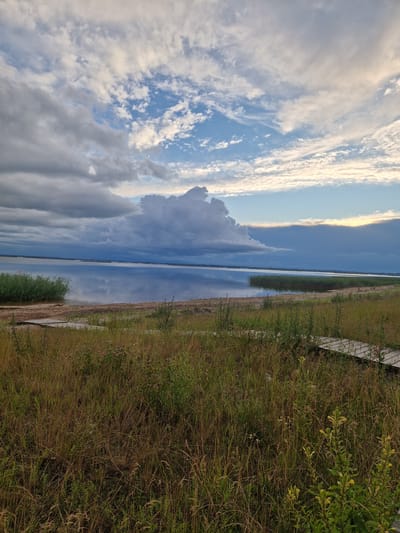 This is a vertical, landscape-oriented photograph taken in Īdeņa, Latvia. The image depicts a serene natural scene, likely during the late afternoon or early evening, given the soft light.
The primary subjects are the sky, water, and vegetation. The sky is a dominant feature, filled with a dramatic mix of clouds. Wispy, white cirrus clouds are scattered across a bright blue sky on the left side of the image, suggesting fair weather. Towards the center and right, darker, more voluminous storm clouds are present, hinting at approaching or receding rain.
Below the sky is a body of water, appearing to be a lake or a wide river. The water is remarkably still, acting as a mirror that reflects the sky and clouds with striking clarity. The reflection creates a sense of symmetry and depth in the composition.
The foreground and right side of the image are occupied by lush, tall grass and other vegetation. The grass is a mix of greens and dried browns, indicating it is likely late summer or early autumn. Some smaller green plants and bushes are also visible, adding texture to the landscape. A portion of a wooden boardwalk or path is visible along the right edge of the image, suggesting a developed area for access to the natural environment.
There is no activity or event taking place; the scene is static and peaceful. The weather appears to be mixed, with sunny skies on one side and darker clouds on the other. The location cues, such as the vast sky and water, coupled with the general landscape, are consistent with a rural or natural setting in Latvia. The overall mood evoked is one of tranquility and the beauty of nature, perhaps with a touch of dramatic flair from the cloud formations. No visible text is present in the image.