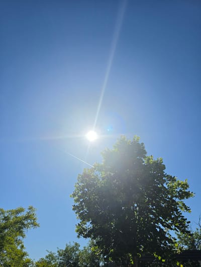 The image shows a bright, cloudless blue sky. The sun is visible and intensely bright, causing lens flare and a long, faint contrail in the sky. Trees are visible at the top and bottom right of the frame. Based on the location tag in the question, this scene is likely in or near Tar, Croatia, although there is no specific evidence in the picture to confirm this. There are no people or other objects visible.