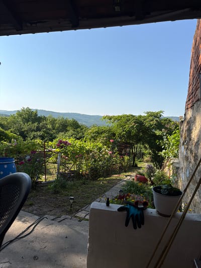 This image captures a garden scene in Gorno Pavlikene, Bulgaria. The foreground shows a concrete patio area with a black chair and some electrical cords. A white-painted low wall runs horizontally across the mid-ground, upon which rests a potted plant and a pair of blue gardening gloves. Beyond the wall, a vibrant garden is visible, featuring blooming pink roses and other flowering plants, as well as lush green foliage. In the background, rolling hills covered in trees create a natural landscape under a clear blue sky. A rustic brick wall is present on the right side of the image, suggesting a building adjacent to the garden. The overall impression is one of a peaceful, sunlit, and well-tended outdoor space.