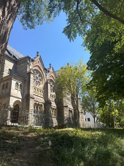 An external view of the Betzdorf Synagogue, a stone building with architectural features characteristic of Gothic Revival style, is captured from a low-angle perspective. The building is partially obscured by the foliage of trees in the foreground and on the right side of the frame. Sunlight illuminates the scene, creating distinct shadows on the building and the surrounding grassy area. A wrought-iron fence runs along the front of the property. The sky is clear and blue.