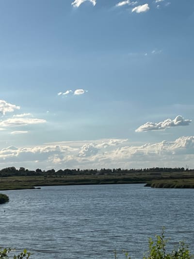 The image shows a wide, tranquil body of water, likely a river or a lake, under a bright blue sky dotted with fluffy white clouds. The water's surface is rippled, suggesting a gentle breeze. Along the far bank of the water, a dense line of trees and green vegetation forms a natural border, with a flat, grassy landscape stretching beyond. The sky occupies the upper half of the frame, featuring several distinct cloud formations of varying sizes and densities, some appearing as wispy streaks and others as more substantial, voluminous shapes. In the foreground, to the right, the tips of green leafy branches are visible, adding a touch of natural detail to the bottom of the composition. The overall scene conveys a peaceful, rural or semi-rural environment.