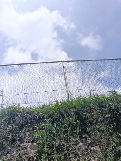 The image depicts an outdoor scene in ឃុំ ផាត់សណ្ដាយ, Cambodia, captured from a low vantage point looking upwards. The lower portion of the frame features a rough stone wall, heavily overgrown with dense green vegetation, including various grasses and leafy vines. Above this vegetation, a chain-link fence extends horizontally across the image, supported by at least two visible vertical metal posts and several taut horizontal wires. The upper two-thirds of the image consist of a light blue sky with scattered white cumulus clouds. No individuals or specific actions are visible in the scene. The lighting suggests daylight conditions.