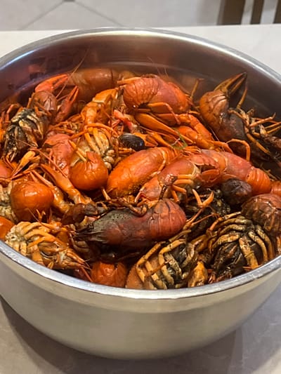 A close-up shot shows a large metal pot filled with cooked crawfish. The crawfish are a reddish-orange color, with some darker, more intensely colored ones interspersed. Their shells are visible, as are their claws and tails. The pot is situated on a light-colored, textured surface, possibly a countertop. The background is out of focus but appears to be a kitchen or dining area with vertical elements that could be furniture or a wall. There are no people visible in the image. The lighting is bright, highlighting the sheen on the crawfish shells. The image does not contain any information that would allow for a determination of its location in the city of Bol'shaya Shishovka, Russia.