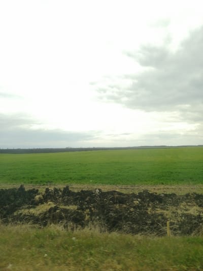 The scene, located in Venets, Bulgaria, presents an expansive agricultural landscape under an overcast sky. In the immediate foreground, a strip of dry, yellowish-green grass is visible, containing a partially obscured, thin wooden stake on the right. Directly behind this, a horizontal band of dark, irregularly mounded earth, consistent with freshly tilled or excavated soil, extends across the frame. Beyond the disturbed earth, a vast, flat field of vibrant green crops, indicative of young vegetation, stretches into the midground. The distant horizon is marked by a narrow, dark line of trees or forest, above which a faint, light-colored vertical structure, possibly a tower, is discernible to the left of center. The sky is predominantly covered by diffuse grey clouds, with a brighter, less dense cloud formation occupying the upper left quadrant of the frame. No individuals, animals, or active subjects are present.