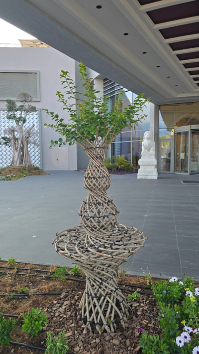 An outdoor scene in Agios Epiktitos, Northern Cyprus, features a unique art installation of a tree with its branches and trunk intricately woven from natural materials, forming a twisting, vase-like shape. The art piece is situated in front of a modern building with a grand entrance, complete with a revolving glass door. To the left of the woven tree, a stylized, dry tree sculpture is visible, adding to the artistic landscaping. A white stone lion statue stands near the entrance, flanking the doorway. The ground is paved with dark grey tiles, and a garden bed with small green plants and flowers, including white and purple daisies, surrounds the base of the woven tree. Drip irrigation lines are visible in the garden bed, indicating a watering system. The sky is bright, suggesting daylight.