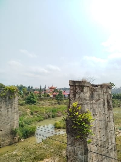 This image shows two concrete bridge pillars in Đại Ninh, Vietnam, situated over a muddy river. The pillars are weathered and worn, with exposed rebar and vegetation growing on them. The background reveals a partially obscured temple with red roofs and surrounding greenery. Overhead power lines are strung across the foreground. The sky is overcast.